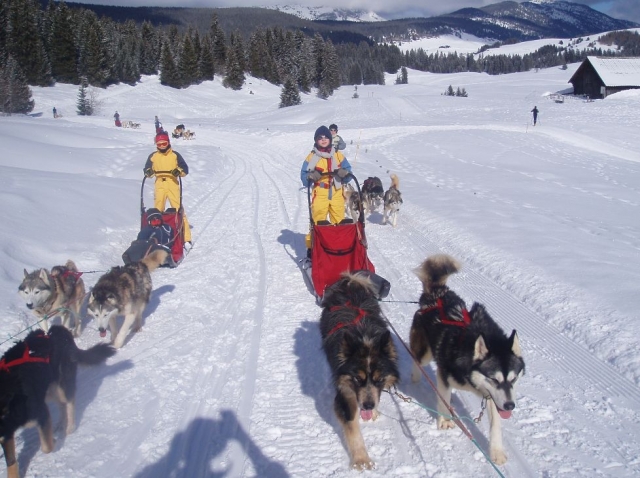 Mushing Child Haute Savoie 